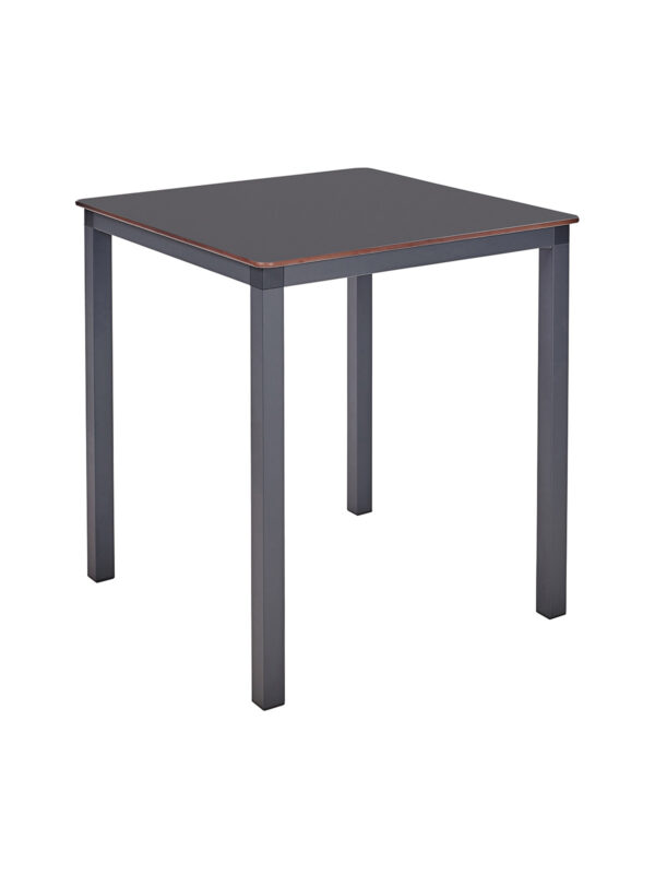 Kovinska gostinska miza Monaco 70X70 - Image 14