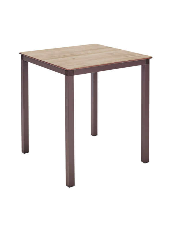 Kovinska gostinska miza Monaco 70X70 - Image 31