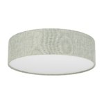 Stropna svetilka Globe Green 1