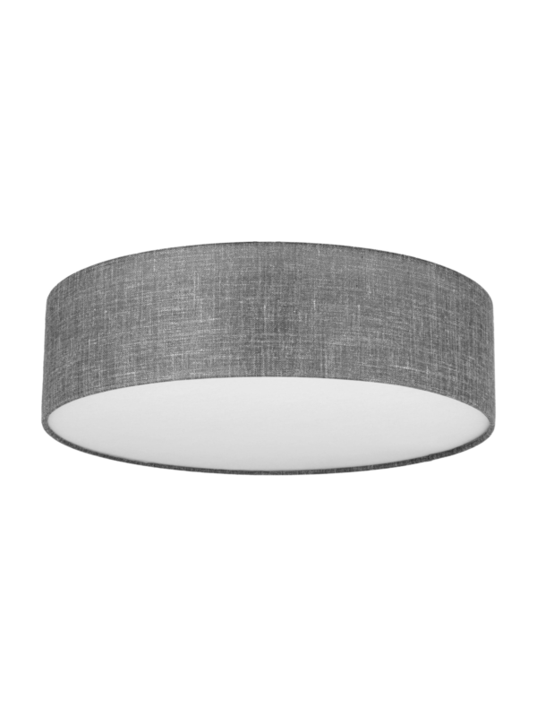 Stropna svetilka Globe Gray