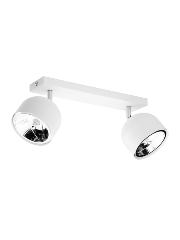 Stropna svetilka Vale Duo White