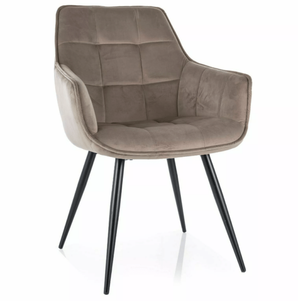 Oblazinjen jedilni stol Waystar - Image 3