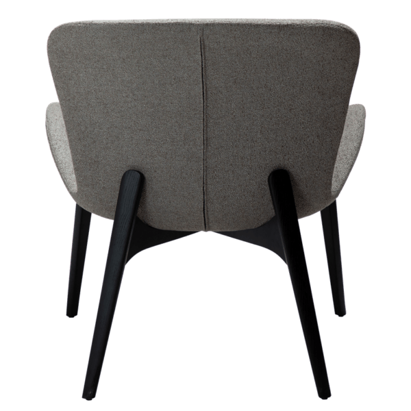 Paragon Brown - Image 5