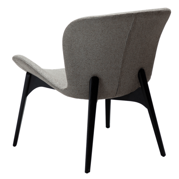 Paragon Brown - Image 6