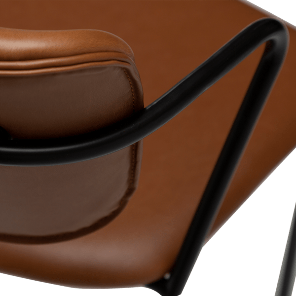 Oblazinjen jedilni stol Zed Brown - Image 6