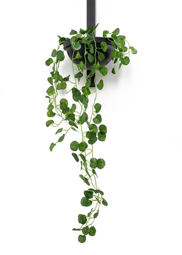 Stenska svetilka Plant Wall - Image 7